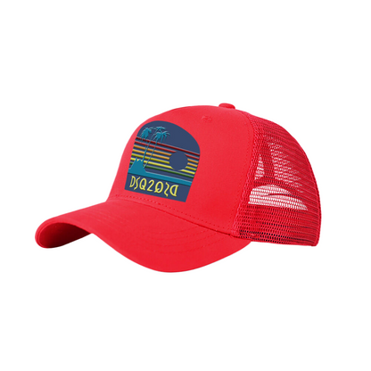 New-DSQ2 Hat